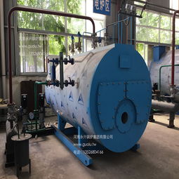 【wns1-1.0卧式燃气蒸汽锅炉屠宰场水池加热用蒸汽锅炉】-