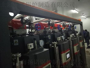 食品机械配套蒸汽锅炉 高效厨房设备的核心动力