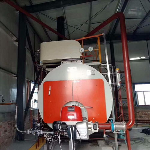 冷凝蒸汽锅炉价格解析 以WNS系列为例